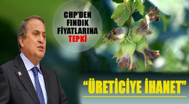 GENEL BAŞKAN YARDIMCISI TORUN: "TARİHİN EN BÜYÜK ALDATMACASI"