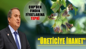 GENEL BAŞKAN YARDIMCISI TORUN: "TARİHİN EN BÜYÜK ALDATMACASI"