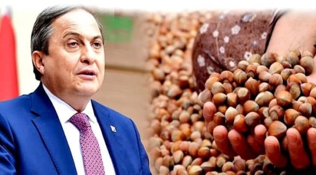GENEL BAŞKAN YARDIMCISI TORUN'DAN "FINDIK" TEPKİSİ