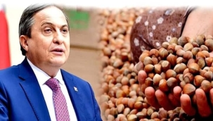GENEL BAŞKAN YARDIMCISI TORUN'DAN "FINDIK" TEPKİSİ