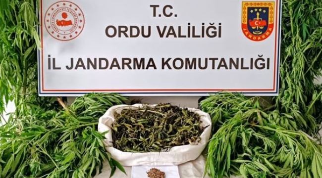 JANDARMA, GÖZ AÇTIRMADI!
