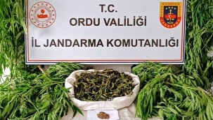JANDARMA, GÖZ AÇTIRMADI!