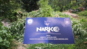 NARKOTİK EKİPLERİ GÖZ AÇTIRMADI!