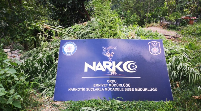 NARKOTİK'TEN PEŞ PEŞE DARBE!