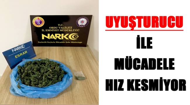 ÜNYE'DE NARKOTİK OPERASYON!