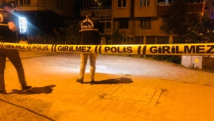 ÜNYE'DE ÖZEL HAREKATLI OPERASYON: 2 TUTUKLAMA