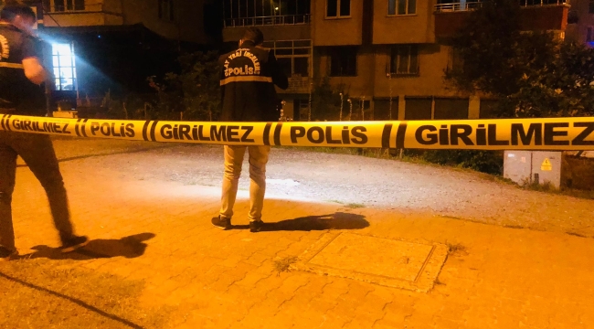 ÜNYE'DE YİNE SİLAHLI YARALAMA