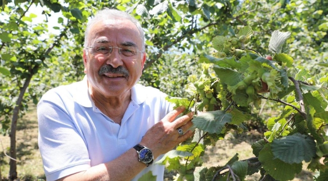 FINDIK VERİMLİLİĞİ PROJESİNDE BÜYÜK BAŞARI