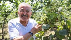 FINDIK VERİMLİLİĞİ PROJESİNDE BÜYÜK BAŞARI
