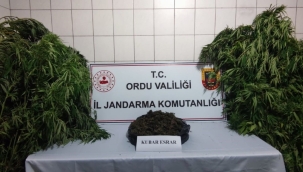 JANDARMADAN KENEVİR VE ESRAR OPERASYONU