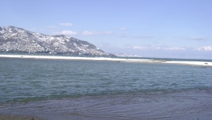 ORDU KIYILARI TEHLİKEDE!