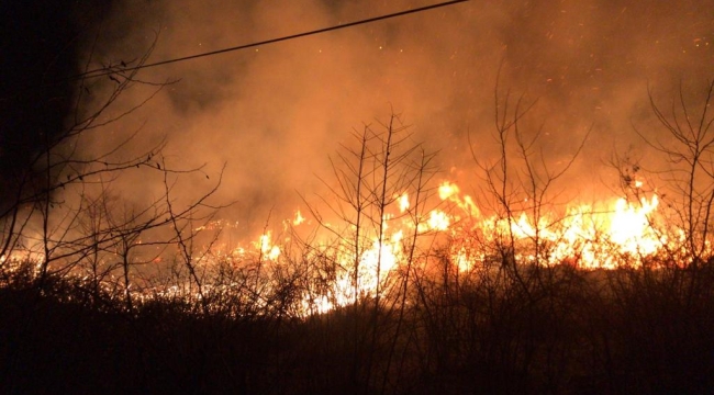 BAHÇE TEMİZLİĞİ YAPARKEN DİKKAT!