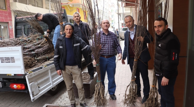 BAŞKAN GÜLER'İN TARIM PROJELERİ HIZ KESMİYOR