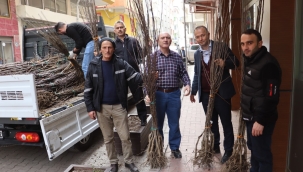 BAŞKAN GÜLER'İN TARIM PROJELERİ HIZ KESMİYOR