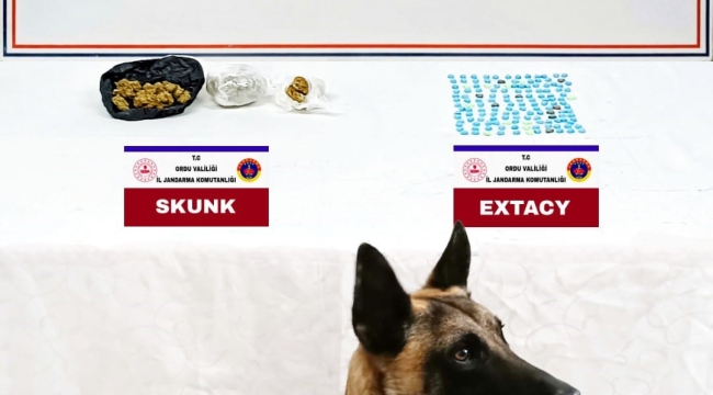 ÜNYE'DE UYUŞTURUCU OPERASYONU