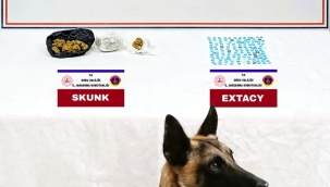ÜNYE'DE UYUŞTURUCU OPERASYONU