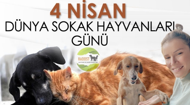 HADOST'TAN SOKAK HAYVANLARI GÜNÜ MESAJI