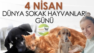 HADOST'TAN SOKAK HAYVANLARI GÜNÜ MESAJI