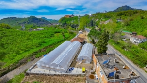 ÜNYE BELEDİYESİ GENÇ FİDANLAR VE SERACILIK PROJESİ TAMAMLANIYOR