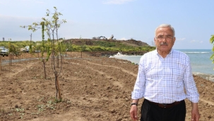 ÇÖP ALANI MEYVE BAHÇESİ OLUYOR