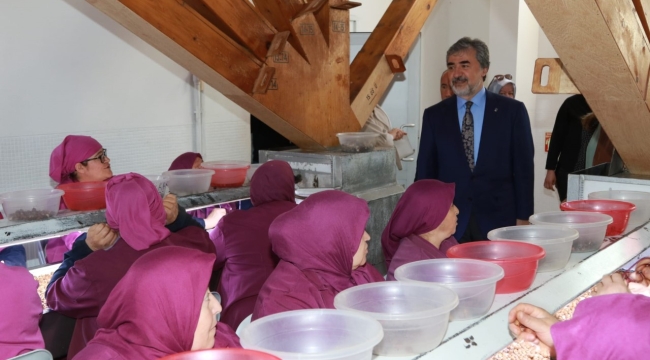 HAMARAT, "AK PARTİ, FINDIĞA VE ÜRETİCİYE HER ZAMAN DESTEK OLDU"