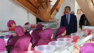 HAMARAT, "AK PARTİ, FINDIĞA VE ÜRETİCİYE HER ZAMAN DESTEK OLDU"