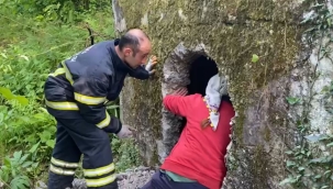 İTFAİYEDEN İNEK KURTARMA OPERASYONU