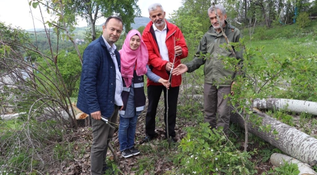 "AŞI ORDUSU" SAHADA