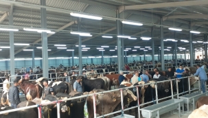 KARADENİZ'İN EN BÜYÜĞÜNDE HAZIRLIKLAR TAMAM