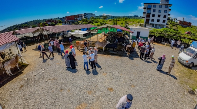 ÜNYE HAYVAN PAZARI, YENİLENEN YÜZÜYLE TAKDİR TOPLUYOR