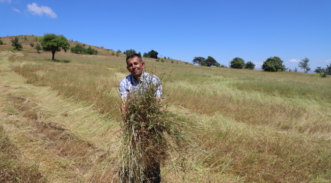 ATIL ARAZİLER BEREKETE DÖNÜŞTÜ