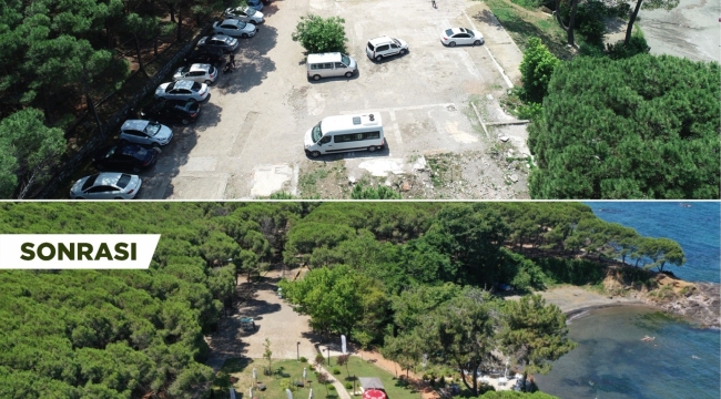 ÇAMLIK VATANDAŞLARIN GÖZDESİ OLDU