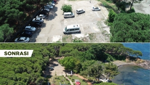 ÇAMLIK VATANDAŞLARIN GÖZDESİ OLDU