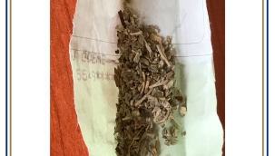 NARKOTİK GÖZ AÇTIRMADI!