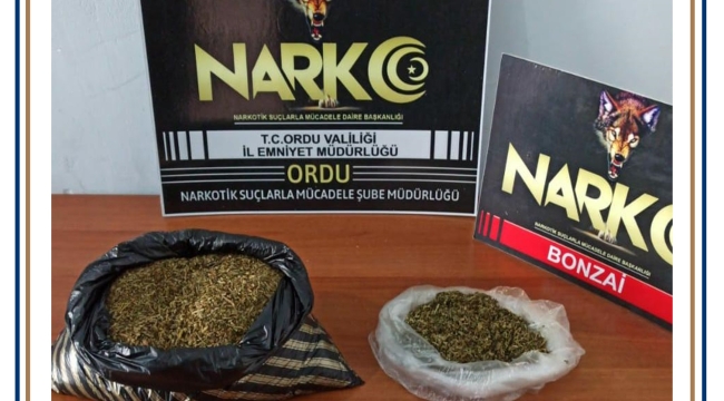 YOLCU OTOBÜSÜNDEN BONZAİ ÇIKTI