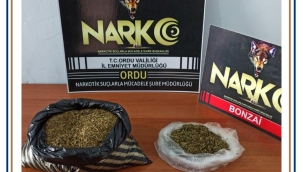 YOLCU OTOBÜSÜNDEN BONZAİ ÇIKTI