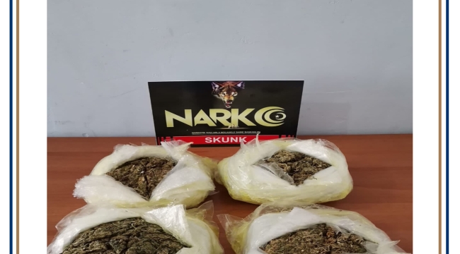 ORDU'DA 9 FARKLI UYUŞTURUCU OPERASYONU