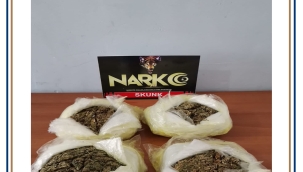 ORDU'DA 9 FARKLI UYUŞTURUCU OPERASYONU