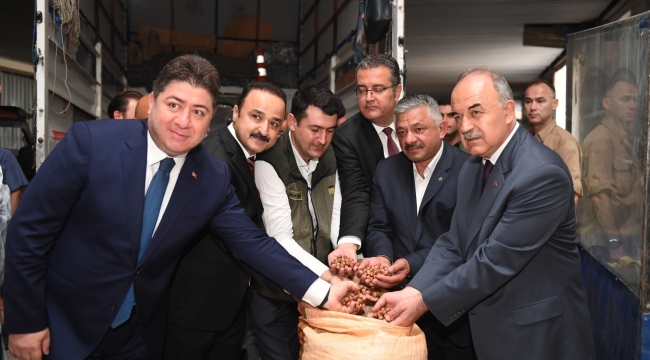 TMO FINDIK ALIMINA BAŞLADI 