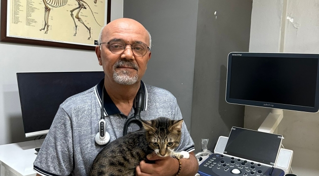 VETERİNER HEKİM GÜNGÖR: "SAĞLIKTA ŞİDDET YASASINA DAHİL EDİLMELİYİZ"