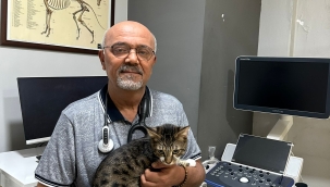VETERİNER HEKİM GÜNGÖR: "SAĞLIKTA ŞİDDET YASASINA DAHİL EDİLMELİYİZ"