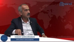 BAŞKAN SARIKAHRAMAN: "İLAÇLAMASINI YAPAN FINDIĞINI TOPLAR"