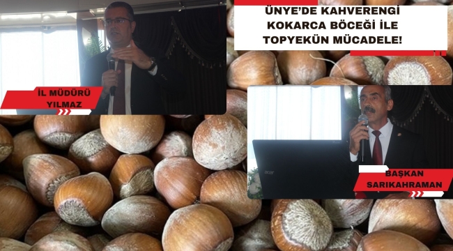 ÜNYE'DE KAHVERENGİ KOKARCA TEHLİKESİ ANLATILDI