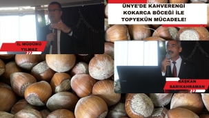 ÜNYE'DE KAHVERENGİ KOKARCA TEHLİKESİ ANLATILDI