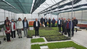 BAŞKAN TAVLI'DAN KIRSALA HİZMET ÇIKARMASI!