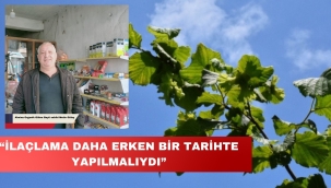 GÜLAY: "İLAÇLAMA DAHA ERKEN BİR TARİHTE YAPILMALIYDI"