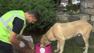 BAYAT EKMEKLER CAN DOSTLARA CAN OLUYOR