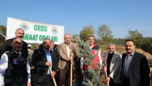 ORDU'DA 100. YIL CUMHURİYET ORMANI FİDAN DİKİMİ ETKİNLİĞİ YAPILDI
