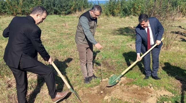 ÜNYE DENETİMLİ SERBESTLİK MÜDÜRLÜĞÜ'NDEN 100. YILA ÖZEL 100 FİDAN