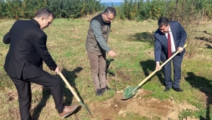 ÜNYE DENETİMLİ SERBESTLİK MÜDÜRLÜĞÜ'NDEN 100. YILA ÖZEL 100 FİDAN